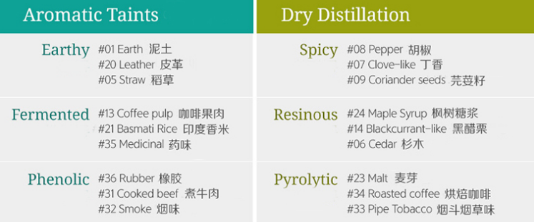 Beginner's Guide to Coffee Flavor Training | From Aroma Kits to Building a Sensory System, How Do New Coffee Drinkers Practice?