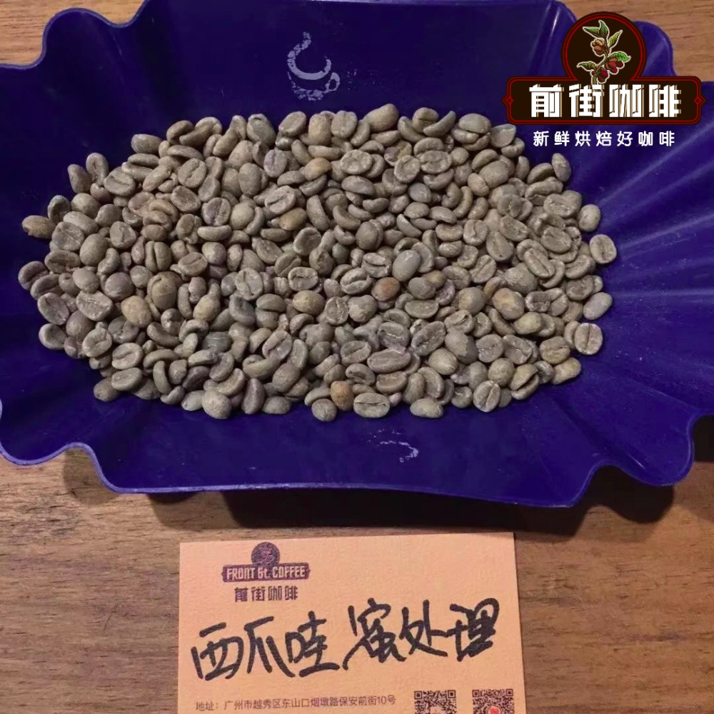 Analysis of Indonesia’s Three Major Coffee Regions | What Type of Coffee is Mandheling? Deep Roast Bean Recommendations and Flavor Profiles