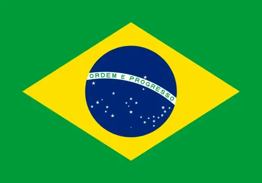 Brazilian Cerrado Meio Solado Bourbon Coffee Beans: A Complete Guide to Regional Flavor & Pour Over Brewing