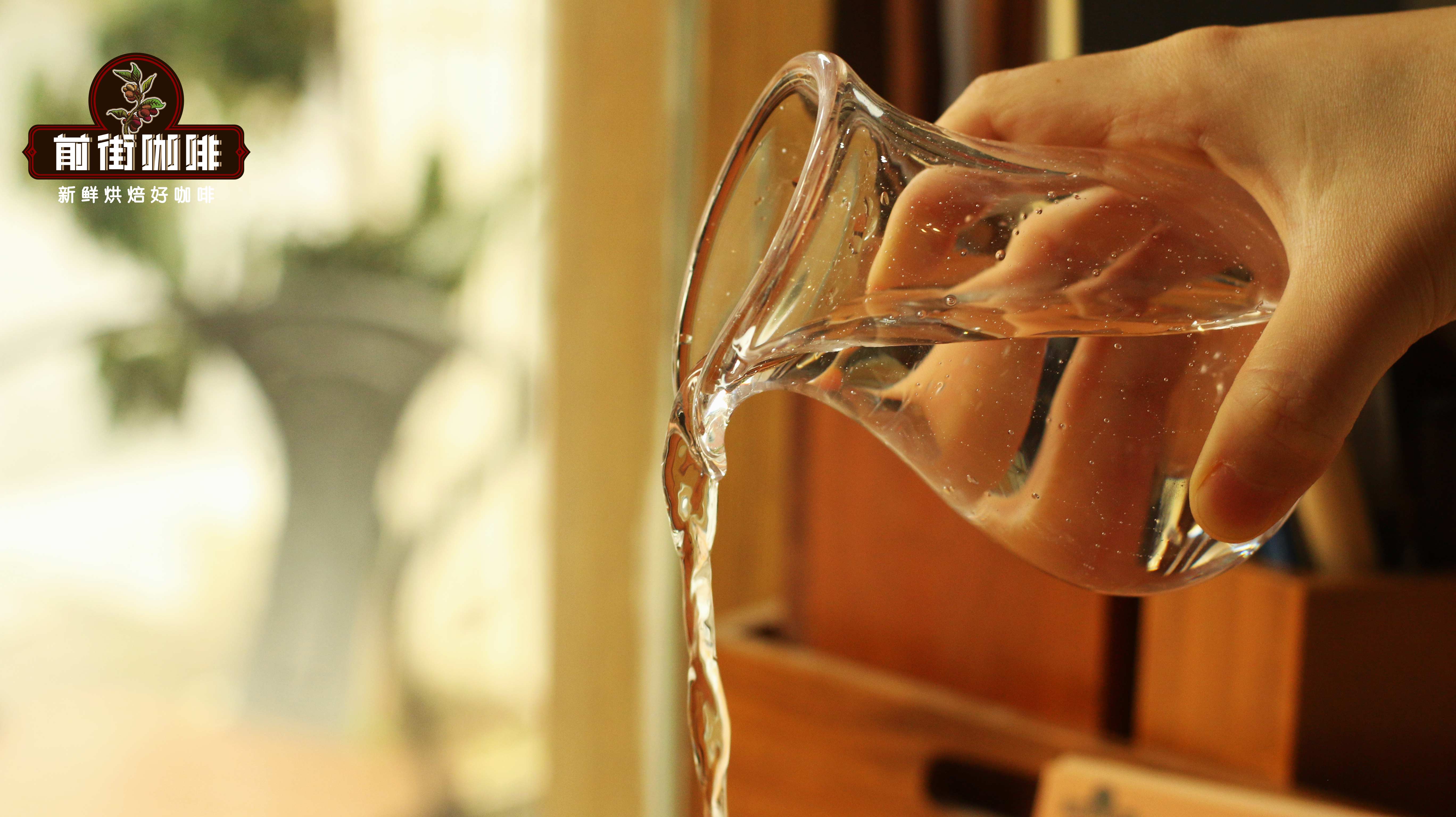 French Press Coffee for Beginners: A Guide to the Best Coffee-to-Water Ratio, Extraction Time, and Bean Pairings