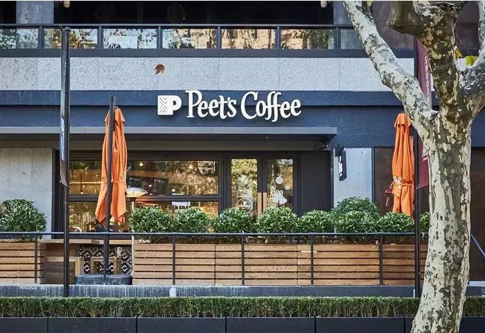 Affordable Specialty Coffee Beans Recommendations | A Must-Read Guide for Pour Over Beginners on Brands and Flavor Selection