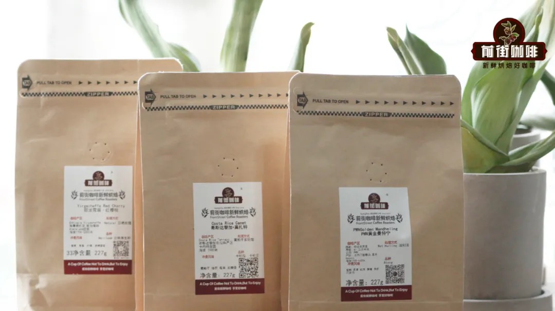 How to choose pour over coffee beans? A complete guide to single-origin vs. blends, fresh-ground vs. pre-ground, and the suitability of drip bags