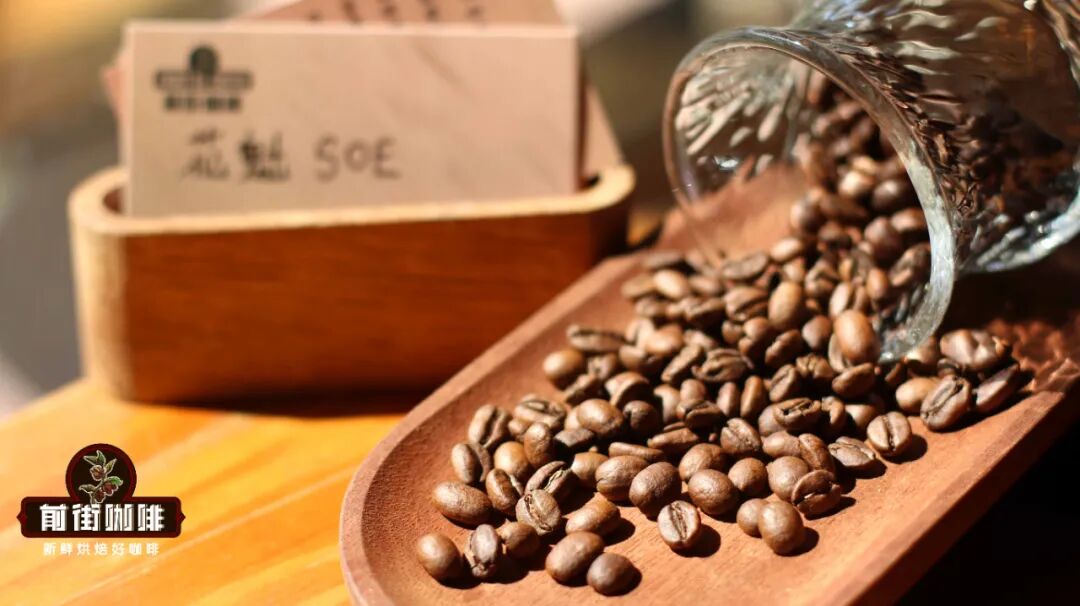 Recommended SOE Coffee Beans | How Beginners Can Choose and Brew? Flavor Adjustment Techniques for SOE Americano and Latte