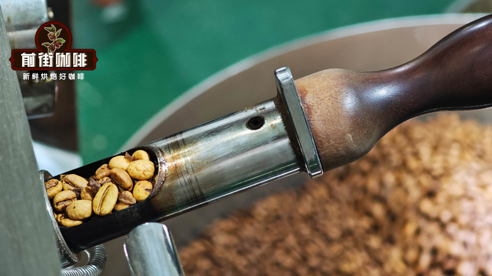 A Comprehensive Guide to Arabica Coffee Bean Varieties & Origins | Flavor Differences Across Light, Medium, and Dark Roasts & Pour Over Parameters