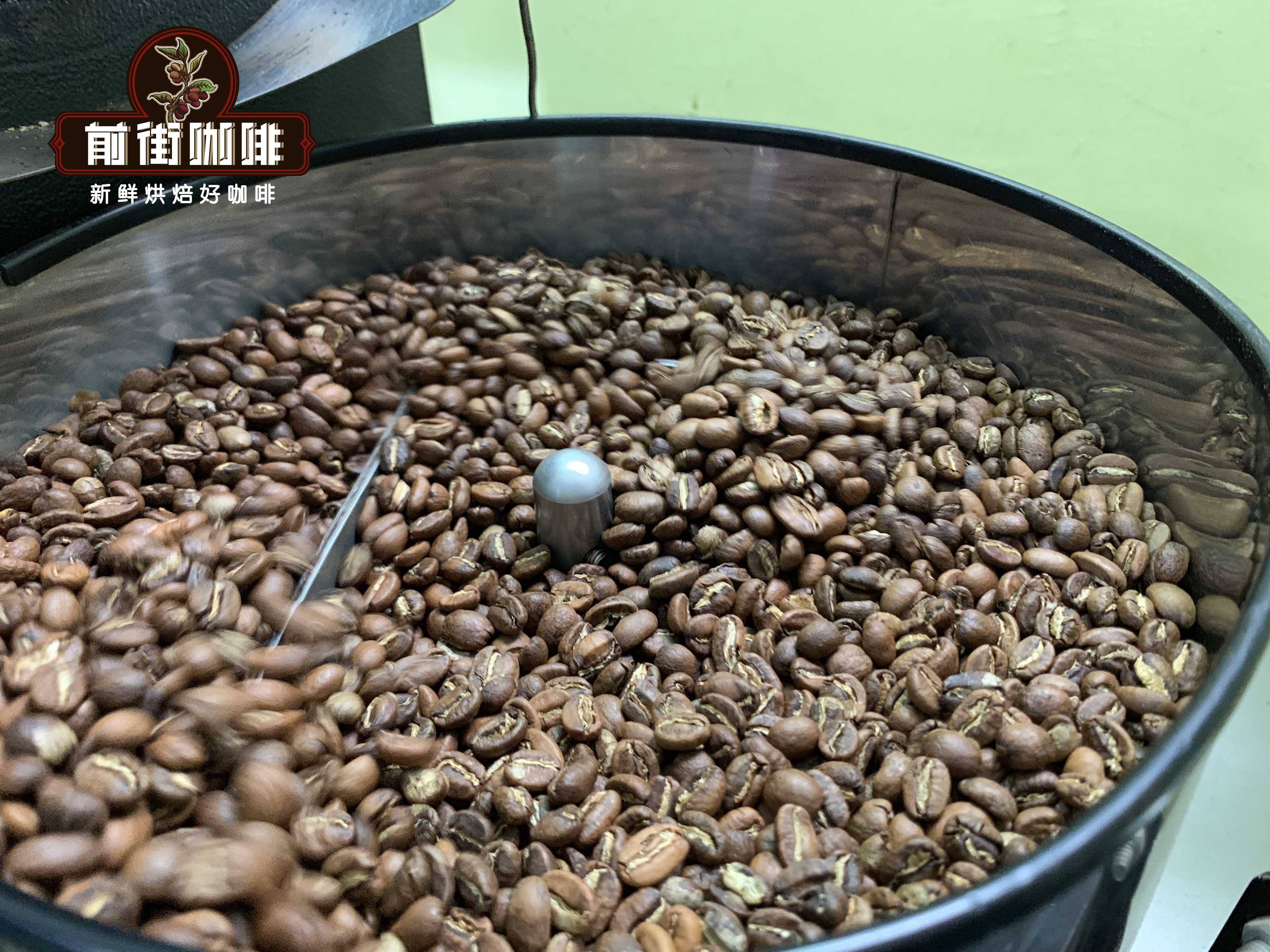 A Comprehensive Guide to Arabica Coffee Bean Varieties & Origins | Flavor Differences Across Light, Medium, and Dark Roasts & Pour Over Parameters