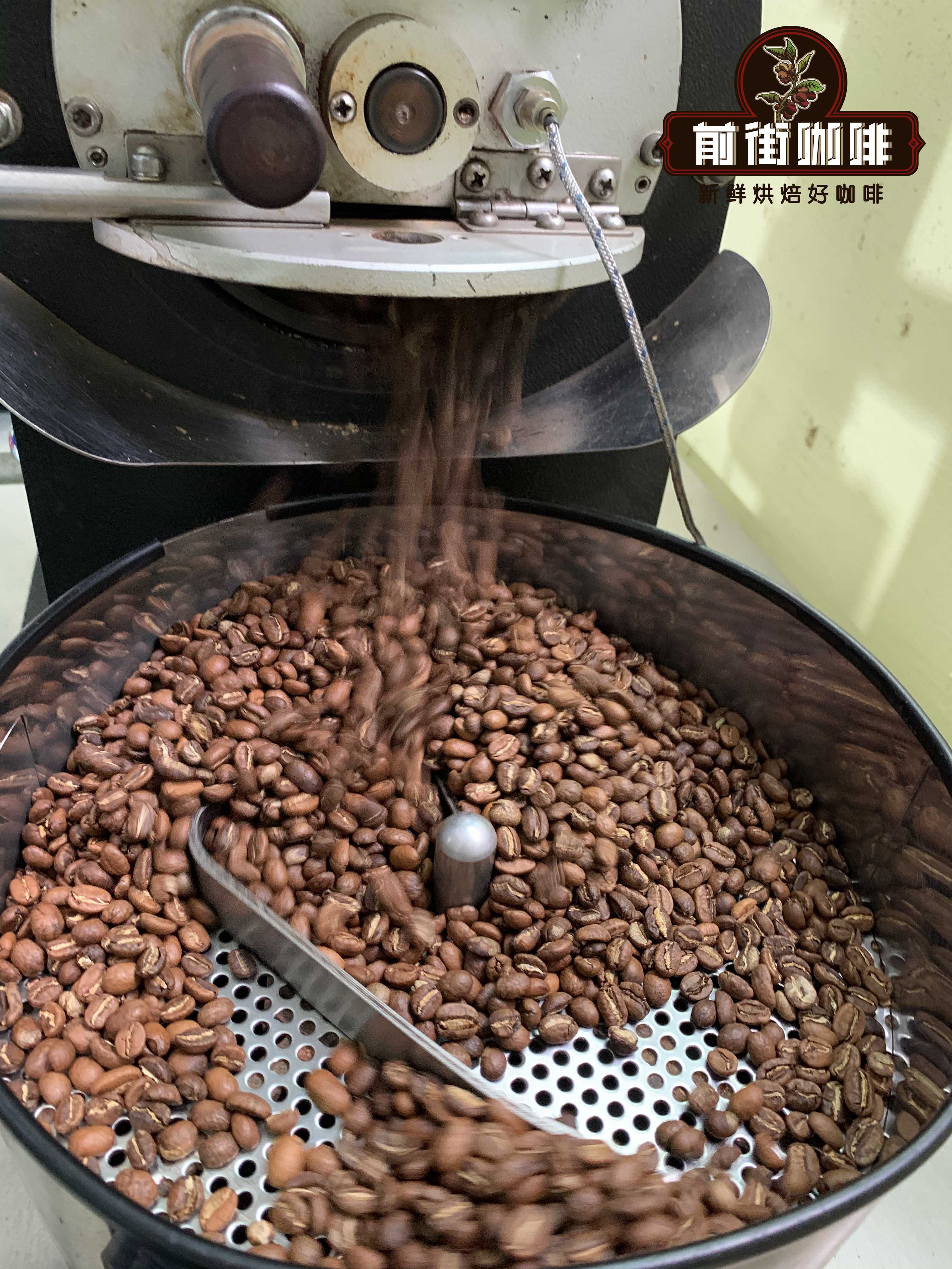 A Comprehensive Guide to Arabica Coffee Bean Varieties & Origins | Flavor Differences Across Light, Medium, and Dark Roasts & Pour Over Parameters