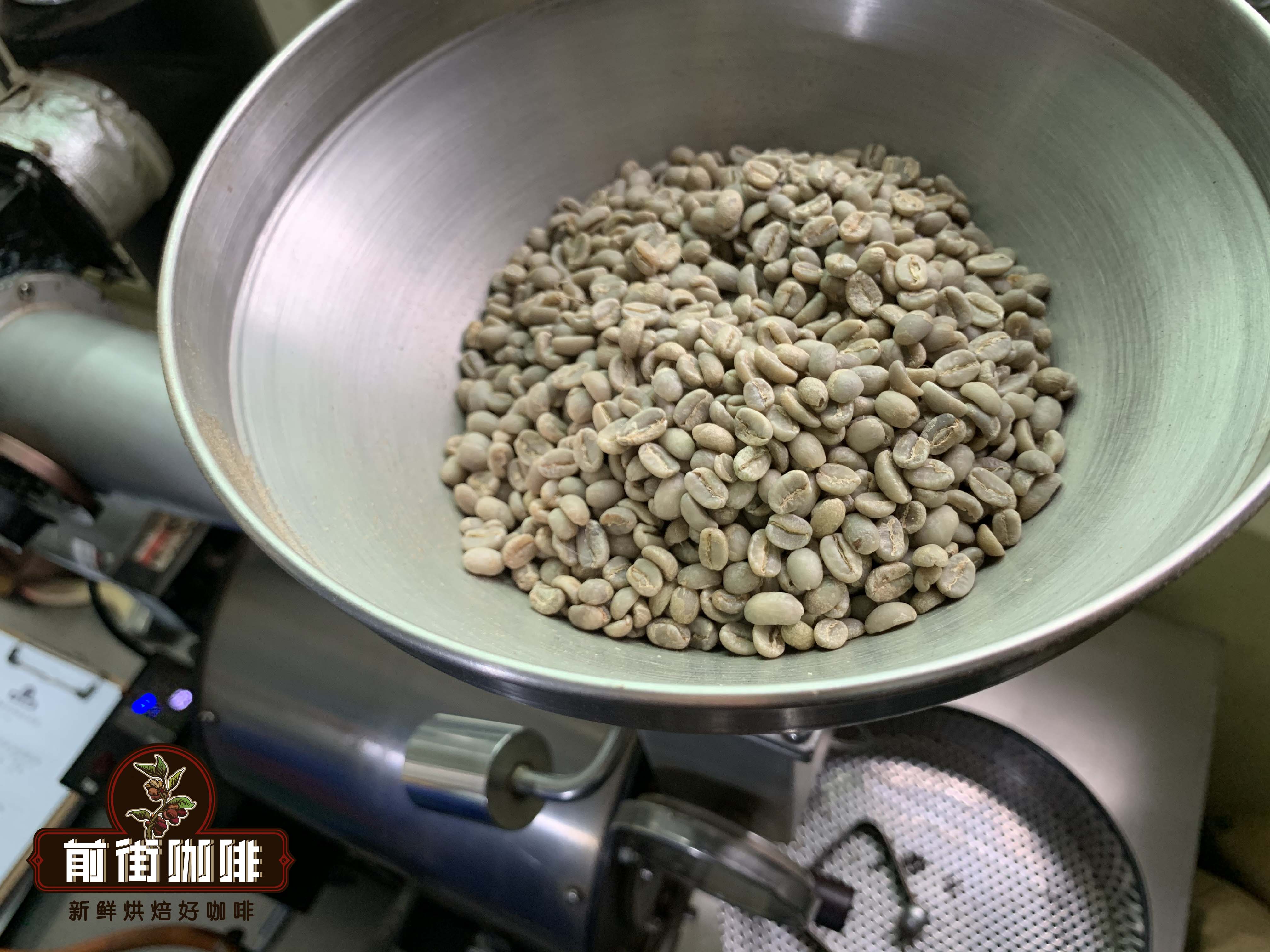 A Comprehensive Guide to Arabica Coffee Bean Varieties & Origins | Flavor Differences Across Light, Medium, and Dark Roasts & Pour Over Parameters