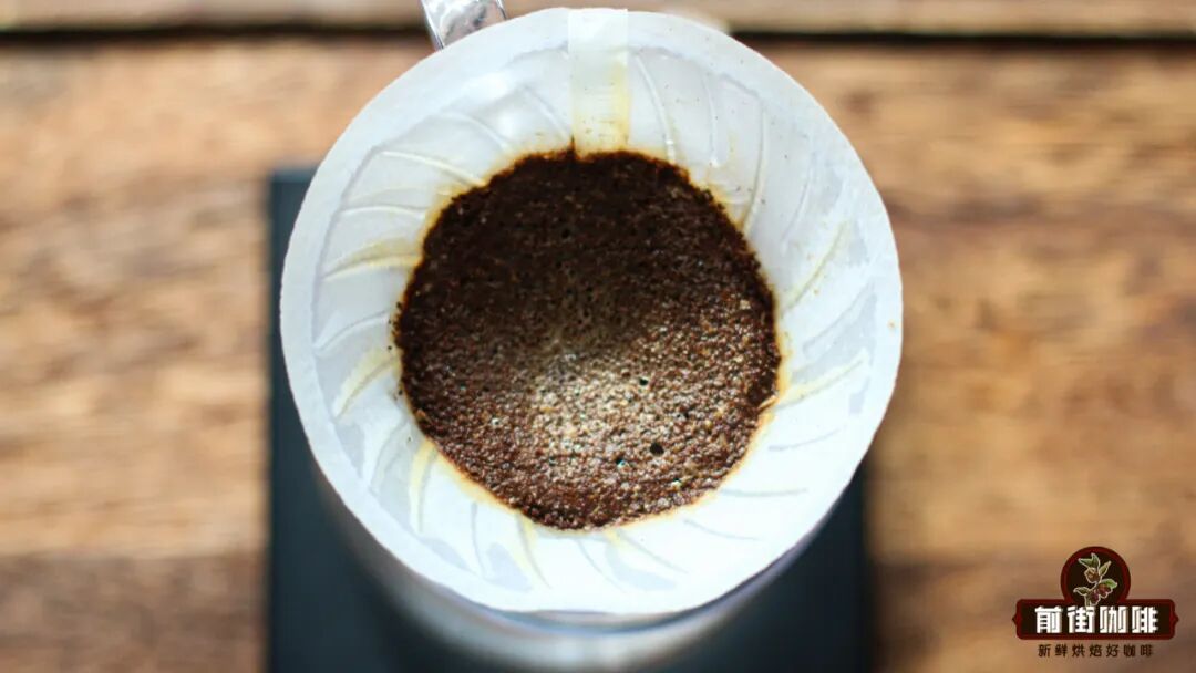 A Detailed Guide to Bloom in Pour Over Coffee: Why It Matters and When You Can Skip It — Professional Analysis