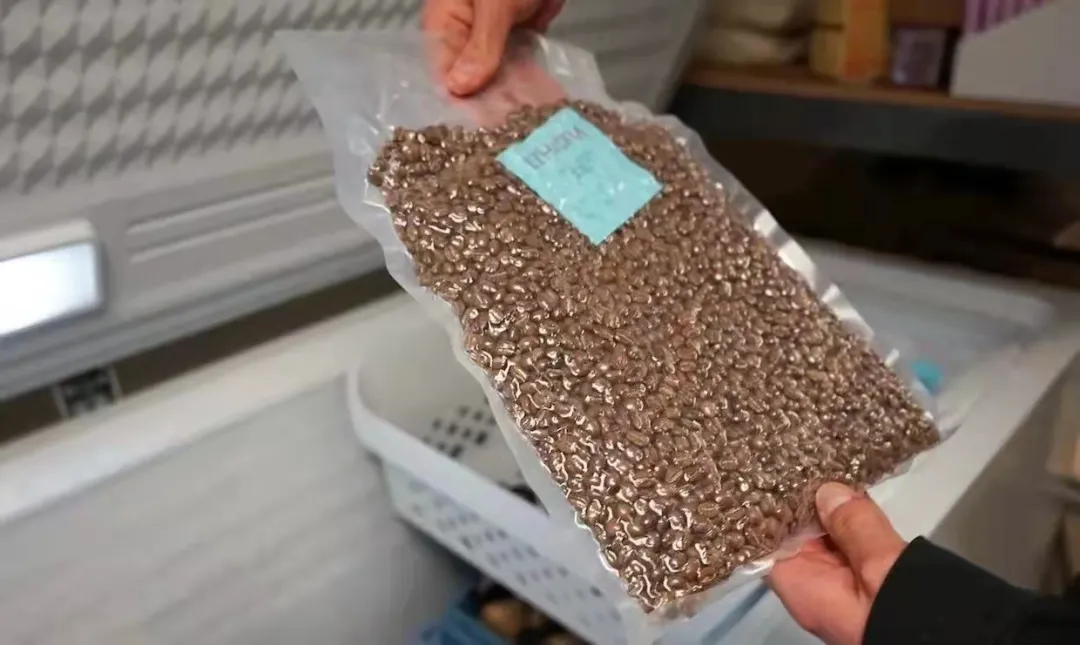 Coffee Bean Storage Secrets | Methods to Extend the Freshness of Pour Over Single-Origin Beans and Three Major Taboos