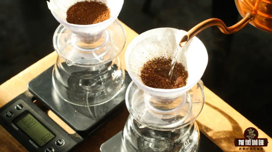 Sun-Dried vs Washed Coffee Processing Methods | Flavor Differences and Full Processing Workflow Analysis