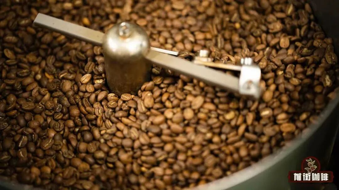 Sun-Dried vs Washed Coffee Processing Methods | Flavor Differences and Full Processing Workflow Analysis