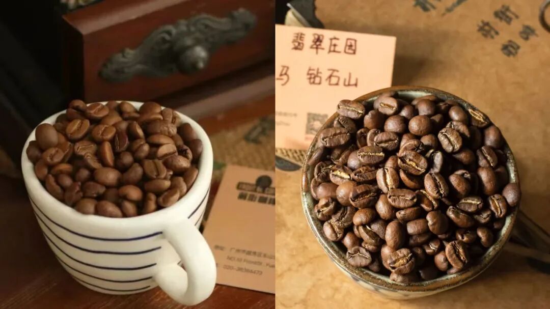 Sun-Dried vs Washed Coffee Processing Methods | Flavor Differences and Full Processing Workflow Analysis