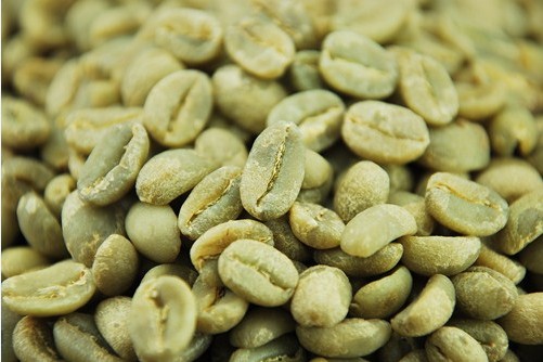 How to Store Green Coffee Beans? A Complete Guide to Packaging, Humidity, Temperature, and Shelf Life