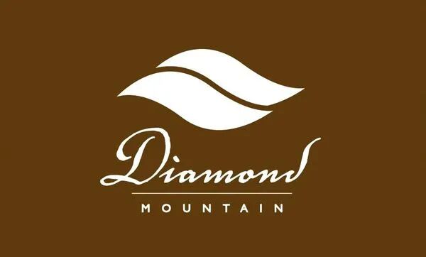Flavor Profile and Pour Over Brewing Guide for Panama Finca Esmeralda Diamond Mountain Catuai