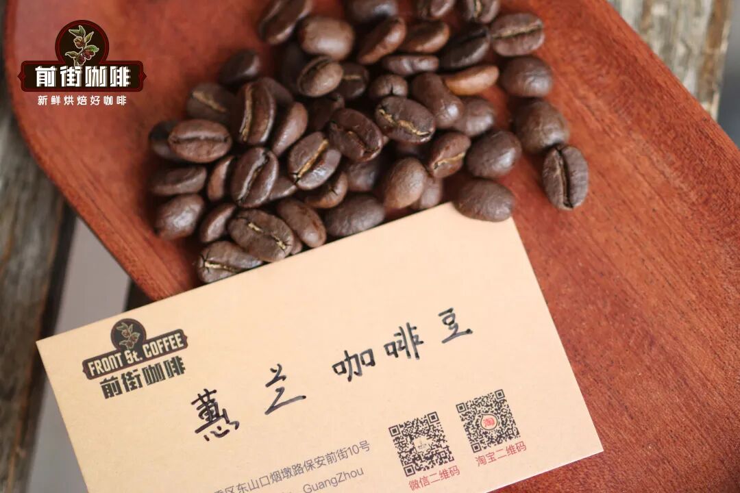 A Comprehensive Guide to Colombia's MAM Region | Specialty Coffee Flavors and Pour Over Parameters