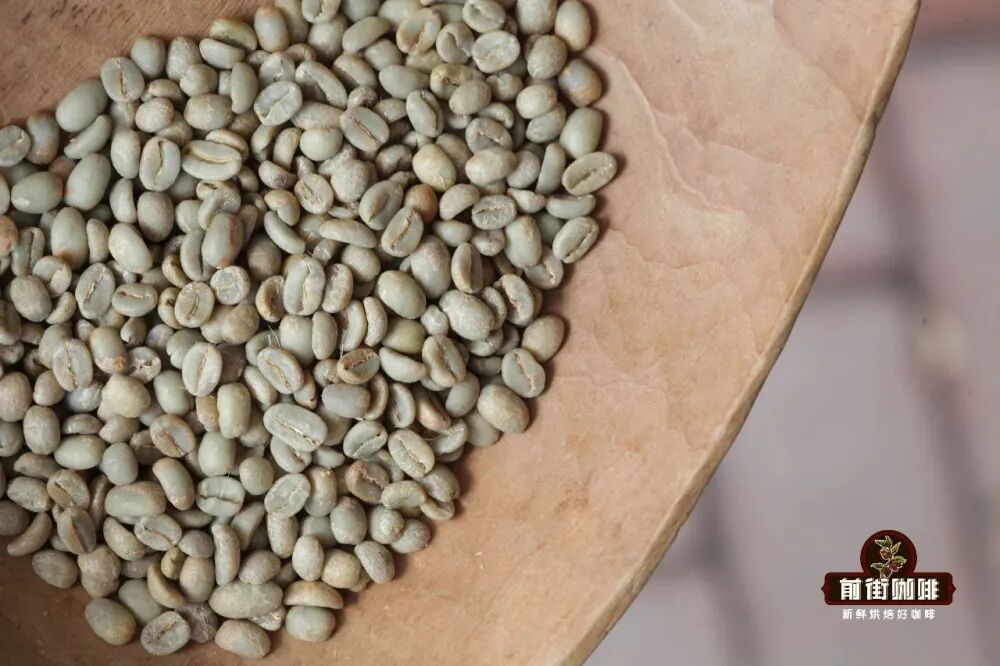 A Complete Guide to Panamanian Geisha Coffee | How Is It Different from Yirgacheffe? Flavor, Brewing, and Tasting Tips