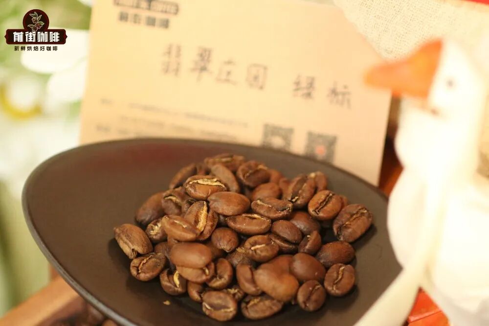A Comprehensive Comparison of Panamanian vs. Ethiopian Gesha Coffee: Variety Differences, Grade Classifications & Brewing Recommendations