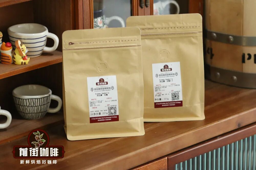 Ethiopian Yirgacheffe Natural Guji Hambella Huikaui | Regional Characteristics & Brewing Guide