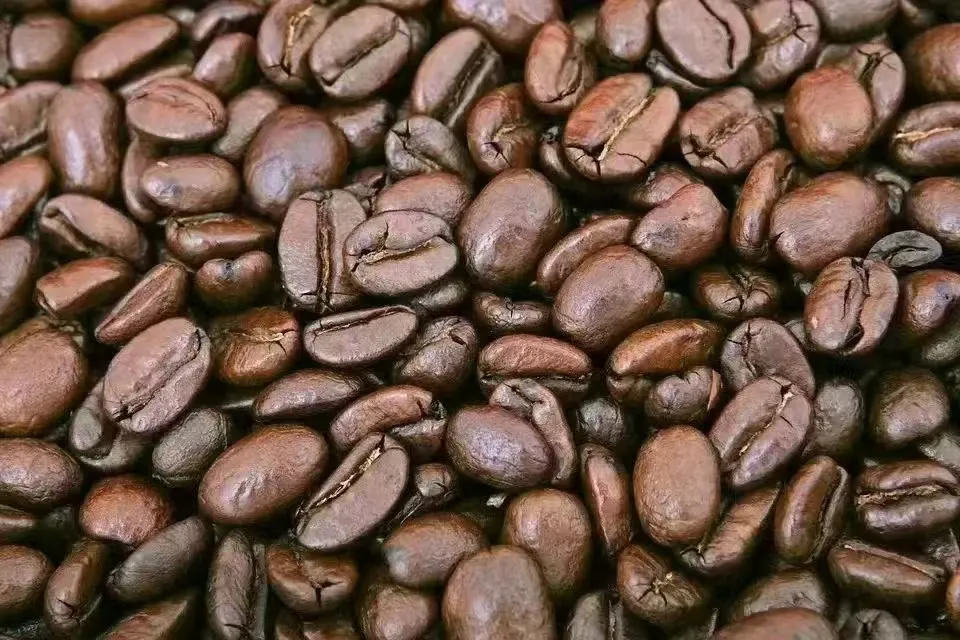 The Secret Behind Coffee Bean Names | A Comprehensive Breakdown of Naming Logic from Region to Variety