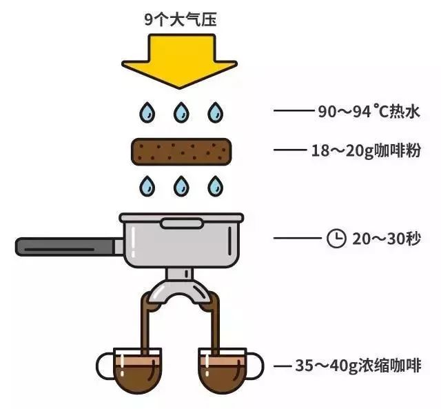 Analysis of the Differences Between Pour Over, Americano, and Black Coffee | Concentration, Sweetness, Extraction Parameters, and Beginner Tips