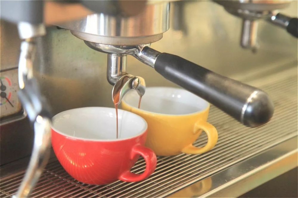 Latte Art Beginner's Guide | Essential Swan and Tulip Press Techniques and Common Mistakes to Avoid
