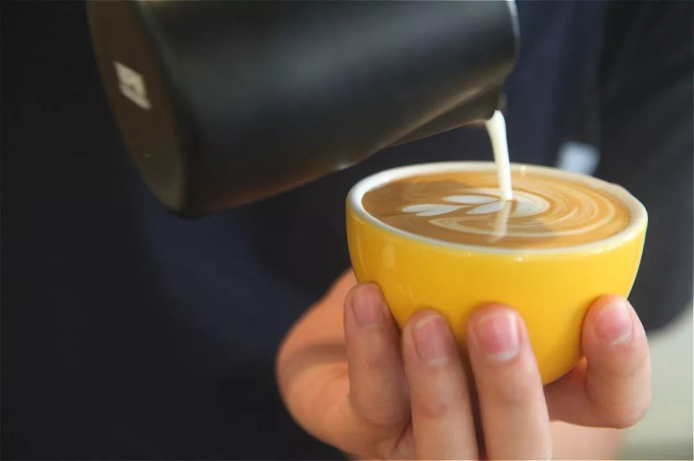 Latte Art Beginner's Guide | Essential Swan and Tulip Press Techniques and Common Mistakes to Avoid