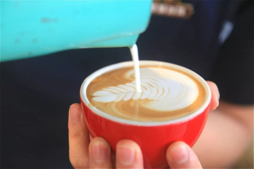 Latte Art Beginner's Guide | Essential Swan and Tulip Press Techniques and Common Mistakes to Avoid
