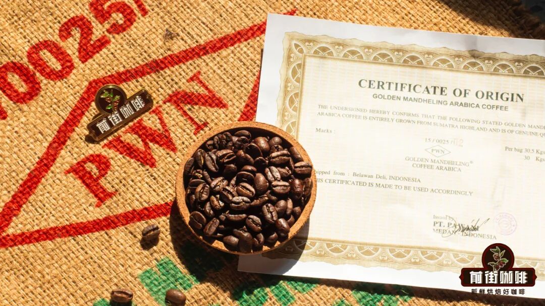 Guide to Dark Roast Iced Pour Over | Analysis of Brewing Parameters and Techniques for High Sweetness in Golden Mandheling