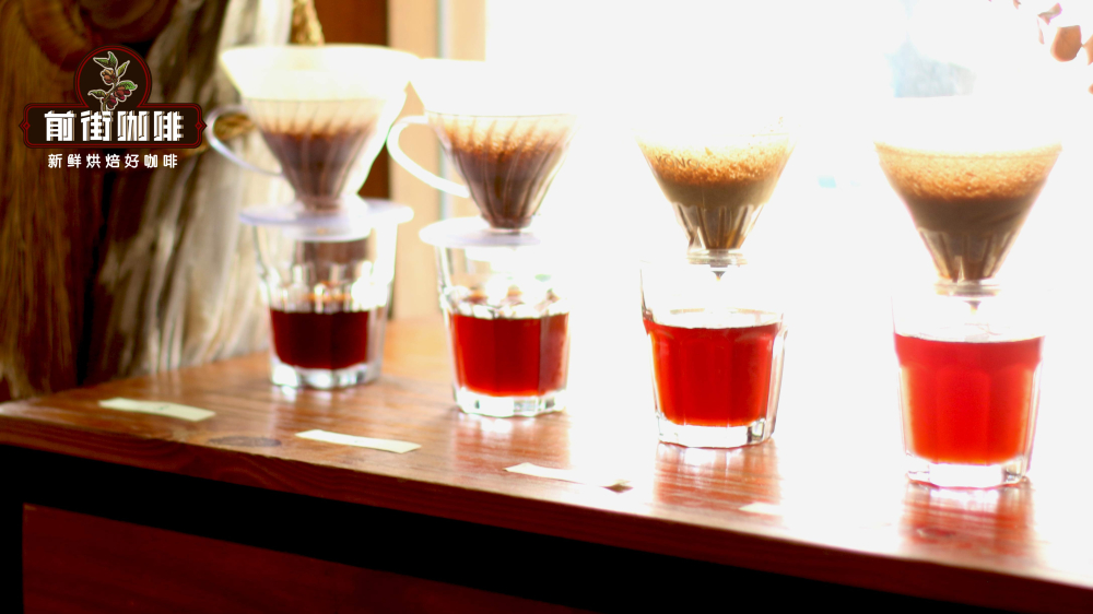 Complete Guide to Making Cold Brew Coffee: Coffee-to-Water Ratio, Extraction Time, and Storage Tips
