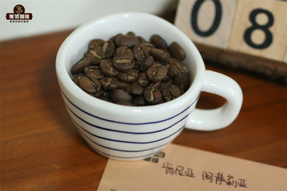 How to Make Cold Drip Coffee? Single-Origin Bean Selection and Low-Temperature Extraction Flavor Analysis