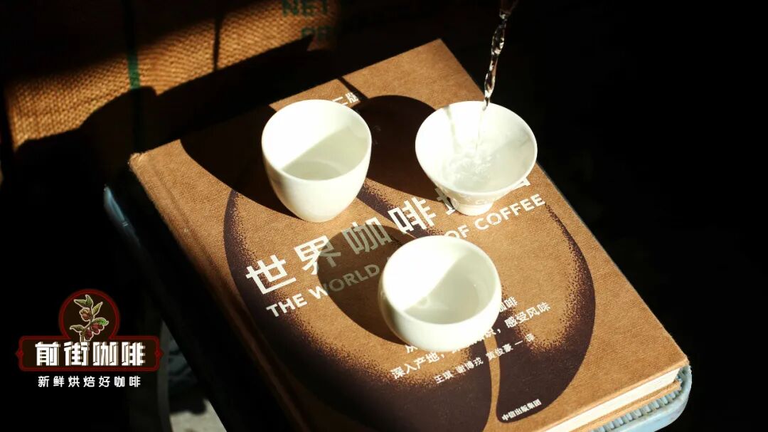 The Big Reveal on Pour Over Coffee Cup Shapes: How Different Cup Types Affect Flavor Experience?