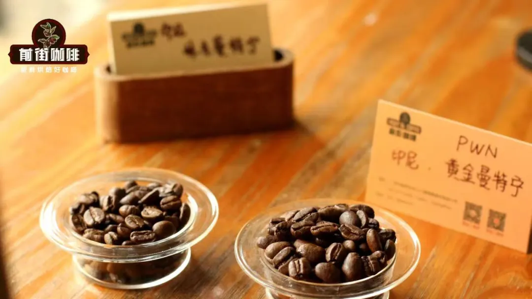 How to Choose Cold Brew Coffee Beans? A Complete Guide to 12-Hour Flavor Extraction & Bean Pairings