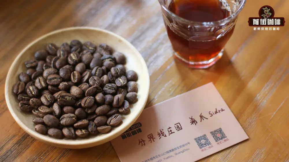 Colombian Anaerobic Natural Sidra Coffee Beans | Full Analysis of Flavor Profile and Brewing Parameters