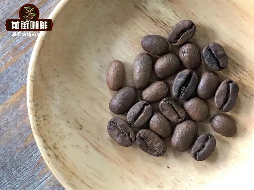 Illustrated Guide to the Three Major Coffee Bean Varieties | From Appearance to Flavor: Learn to Quickly Distinguish Ethiopian Heirloom from Geisha
