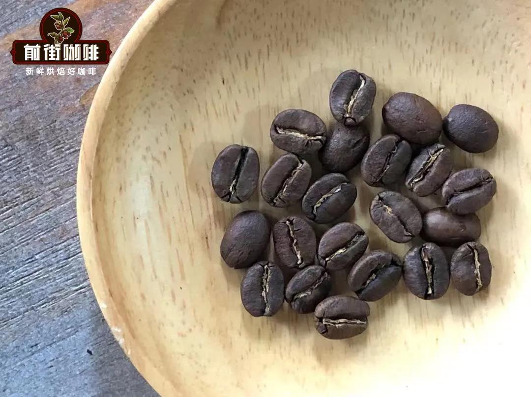Illustrated Guide to the Three Major Coffee Bean Varieties | From Appearance to Flavor: Learn to Quickly Distinguish Ethiopian Heirloom from Geisha