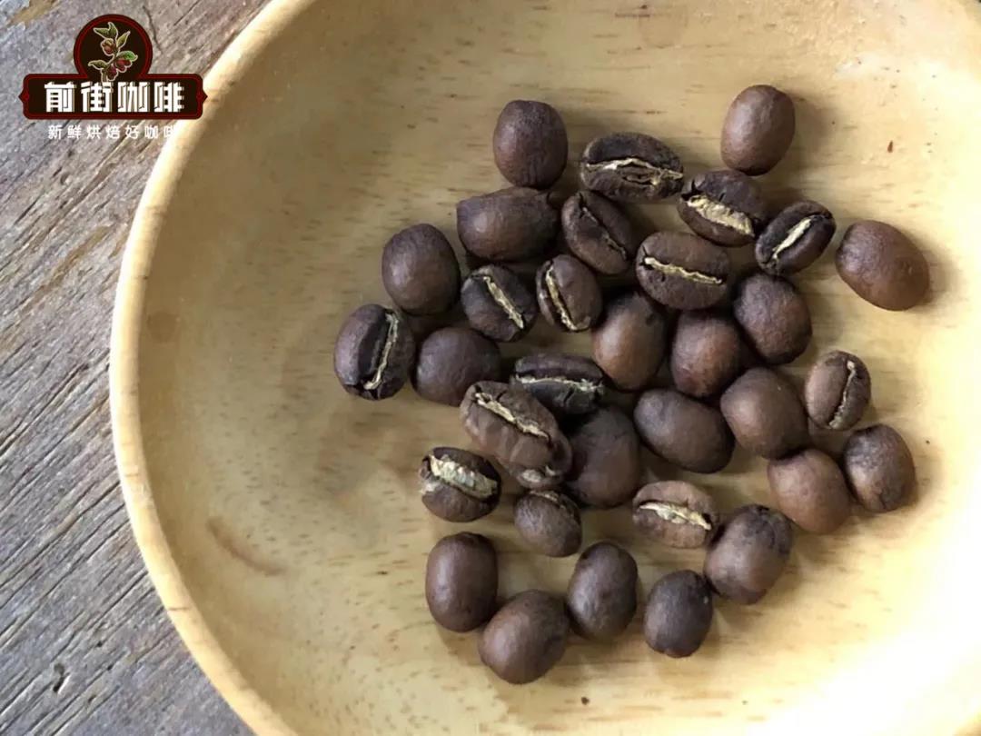 Illustrated Guide to the Three Major Coffee Bean Varieties | From Appearance to Flavor: Learn to Quickly Distinguish Ethiopian Heirloom from Geisha