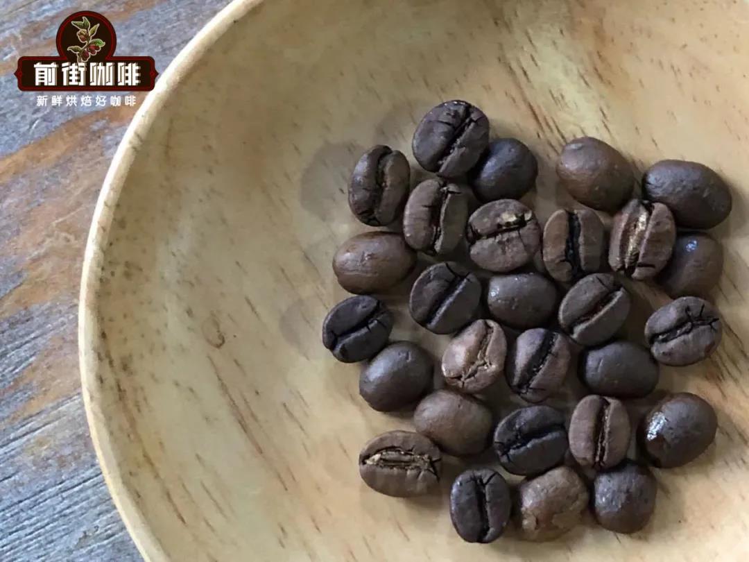 Illustrated Guide to the Three Major Coffee Bean Varieties | From Appearance to Flavor: Learn to Quickly Distinguish Ethiopian Heirloom from Geisha