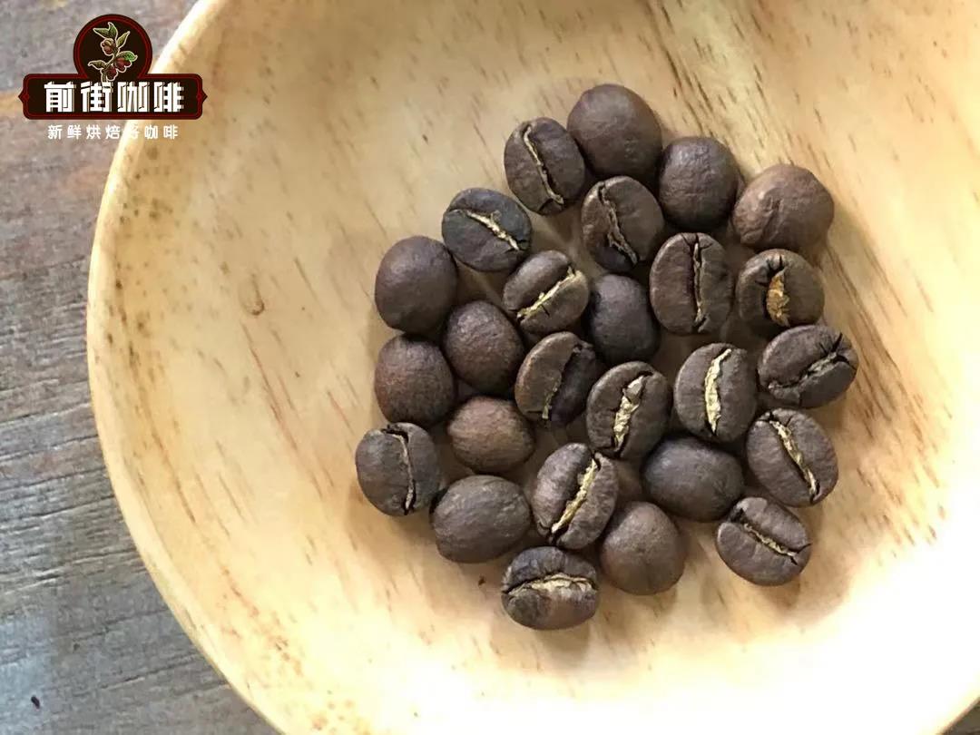 Illustrated Guide to the Three Major Coffee Bean Varieties | From Appearance to Flavor: Learn to Quickly Distinguish Ethiopian Heirloom from Geisha