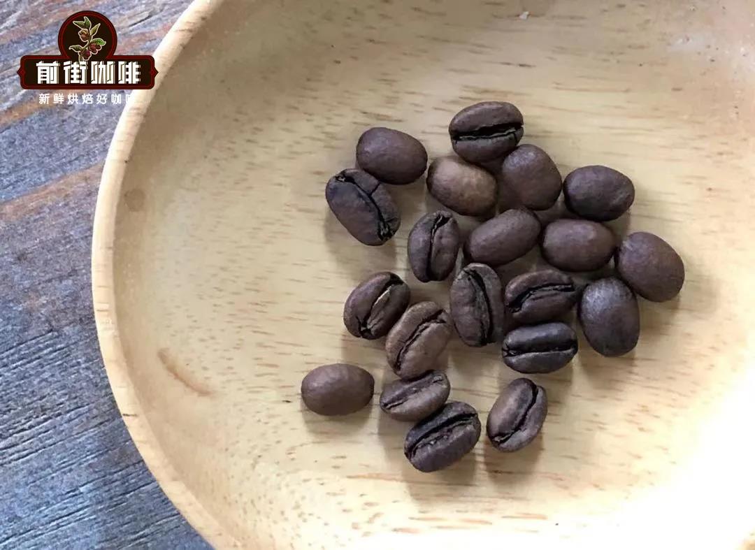 Illustrated Guide to the Three Major Coffee Bean Varieties | From Appearance to Flavor: Learn to Quickly Distinguish Ethiopian Heirloom from Geisha