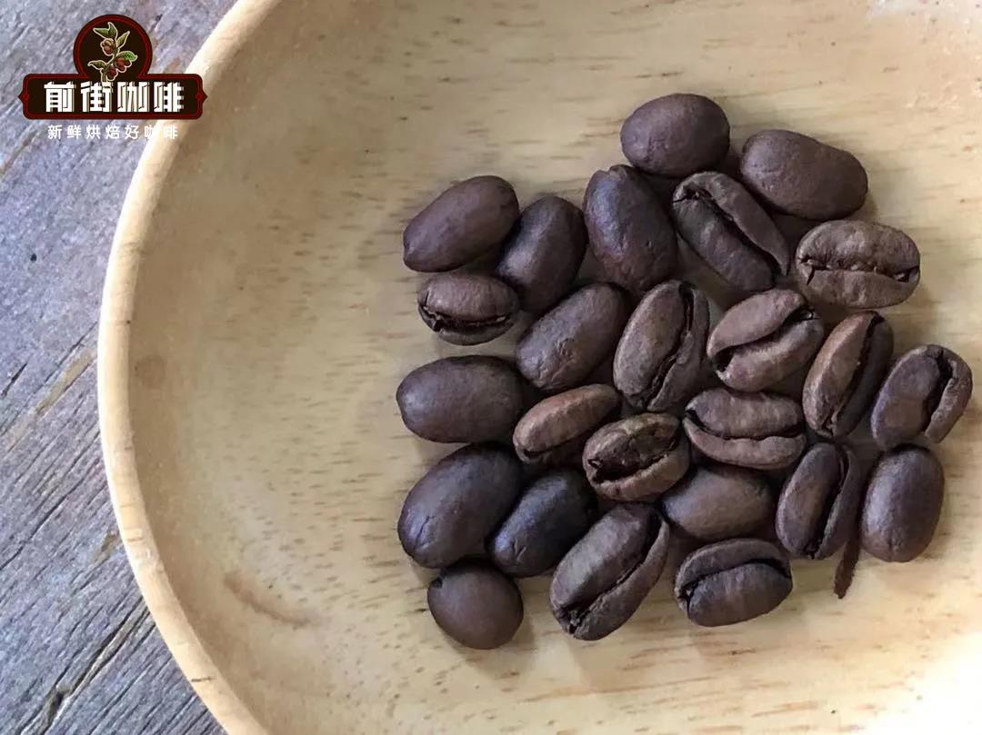 Illustrated Guide to the Three Major Coffee Bean Varieties | From Appearance to Flavor: Learn to Quickly Distinguish Ethiopian Heirloom from Geisha