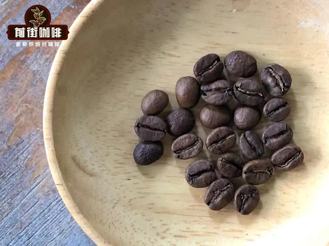 Illustrated Guide to the Three Major Coffee Bean Varieties | From Appearance to Flavor: Learn to Quickly Distinguish Ethiopian Heirloom from Geisha