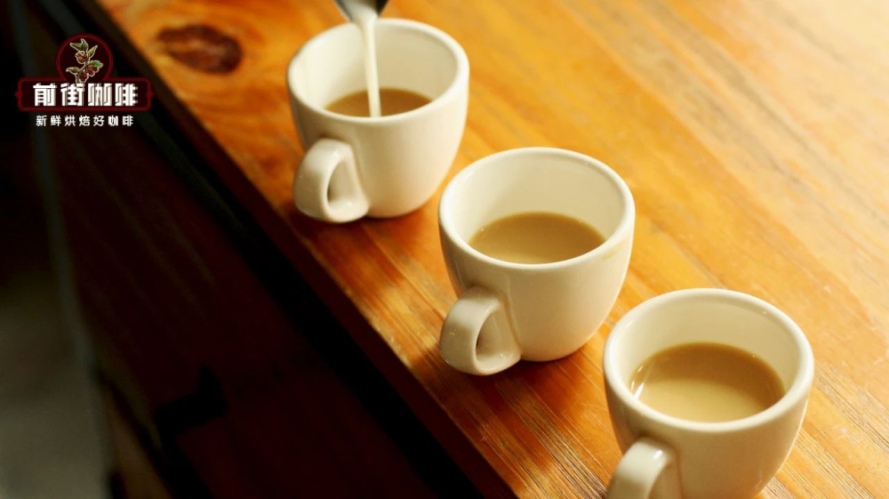Cold Brew Coffee Beginner’s Guide | Recommended Bean Varieties and Flavor Analysis, How to Pair with Milk and Alcohol?