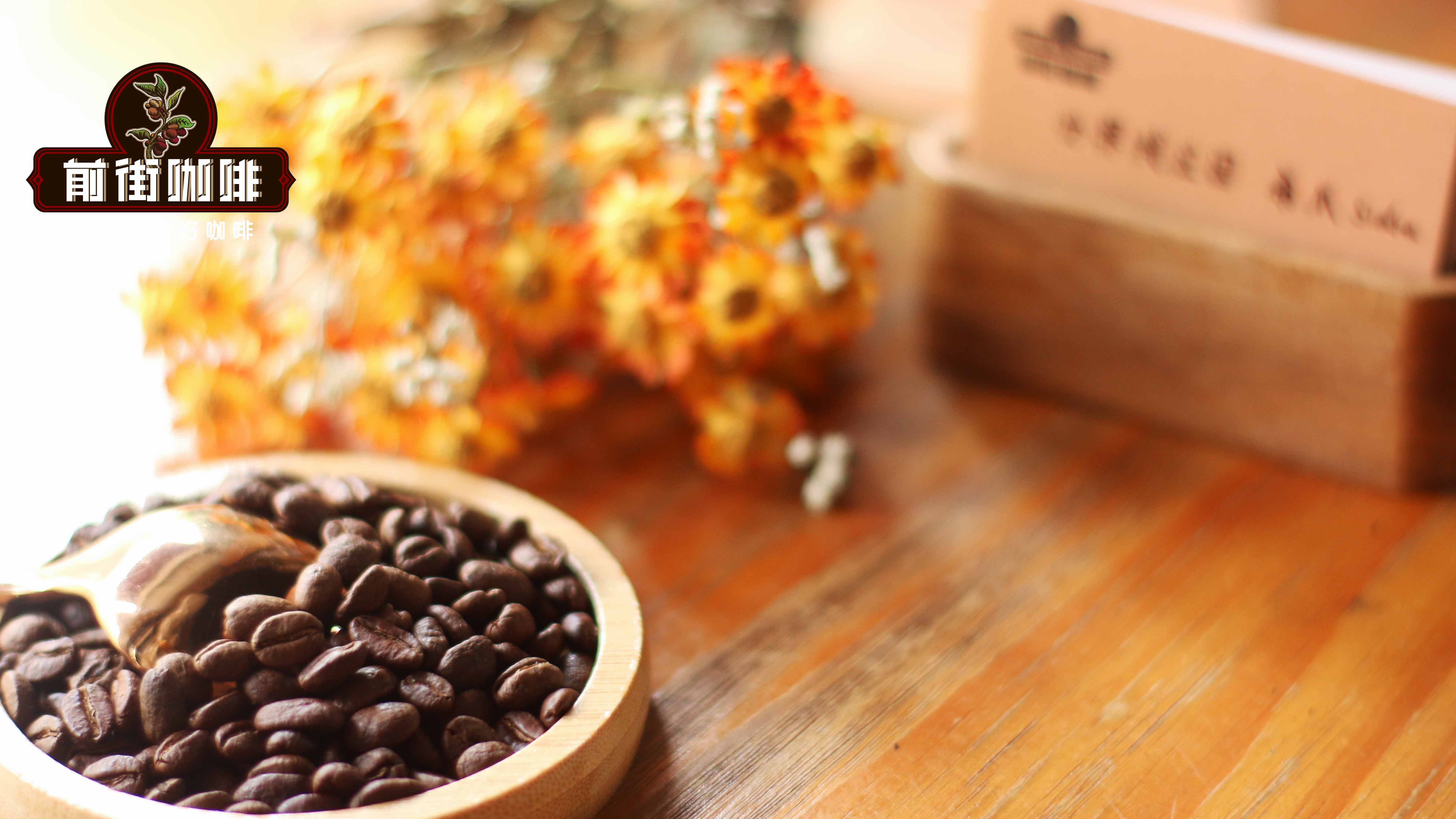 Cold Brew Coffee Beginner’s Guide | Recommended Bean Varieties and Flavor Analysis, How to Pair with Milk and Alcohol?