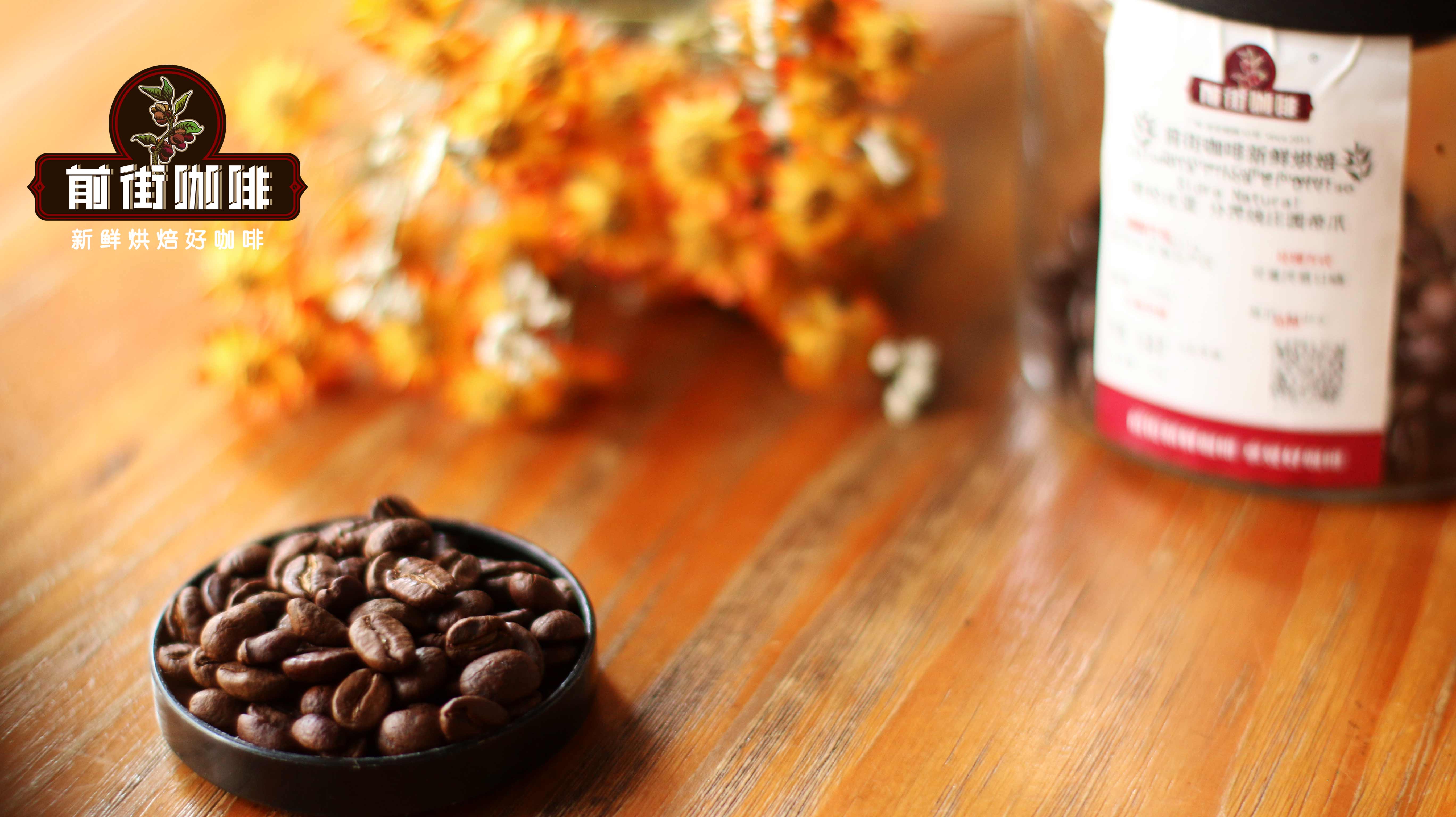 Ice Drip Coffee Beginner's Guide: Single-Origin Bean Recommendations, Grind Size, and Coffee-to-Water Ratio Explained