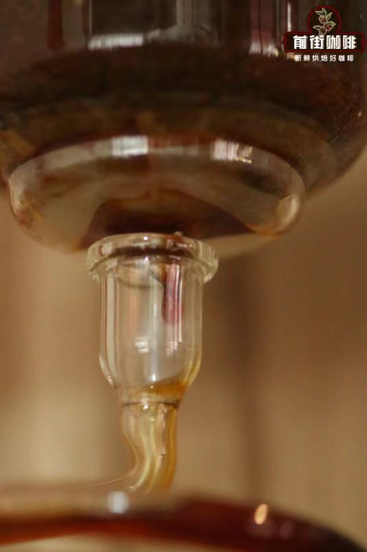 Complete Ice Drip Coffee Brewing Guide | Coffee-to-Water Ratio, Extraction Time & Flavor Analysis
