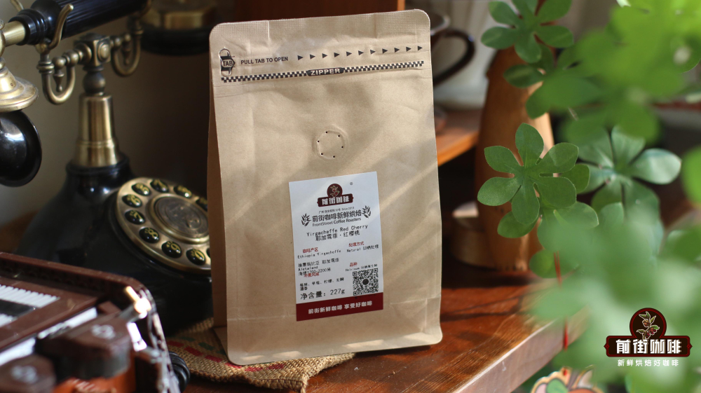 Complete Guide to Making Cold Brew Coffee at Home | Differences Between German & Italian Iced Coffee & Pour Over Bean Recommendations