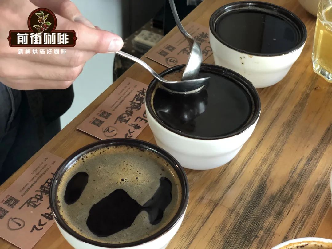 Professional Cupping and Slurping Techniques: A Beginner's Guide to Coffee Tasting