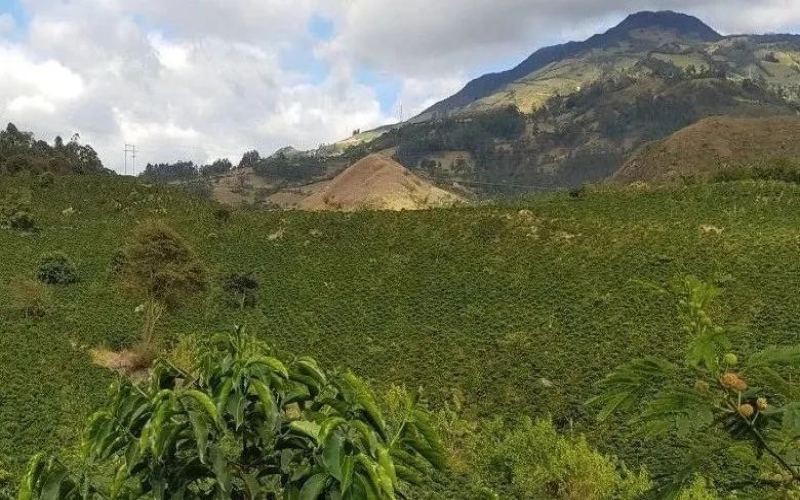 Unveiling the Flavors of Colombia's Nariño Region and the Transformation Journey of Hacienda Obraje