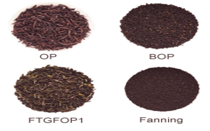 How Are Tea Grades Classified? A Complete Guide to the Flavor Differences Between Loose Leaf Tea and Tea Bag Broken Leaves