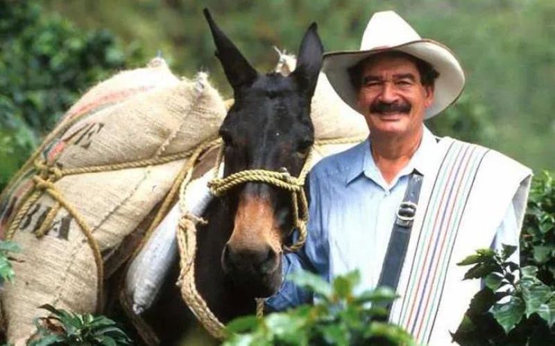 How to Brew Colombian Juan Diez Coffee? Pour Over Parameters and Flavor Analysis of the Huila Washed Beans